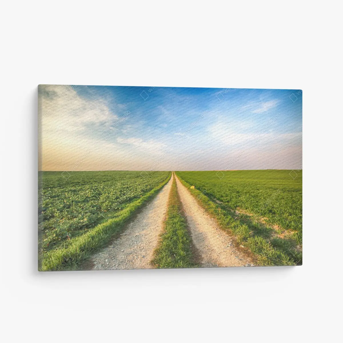 Leinwandbild feldweg durch grüne felder – Pixers®