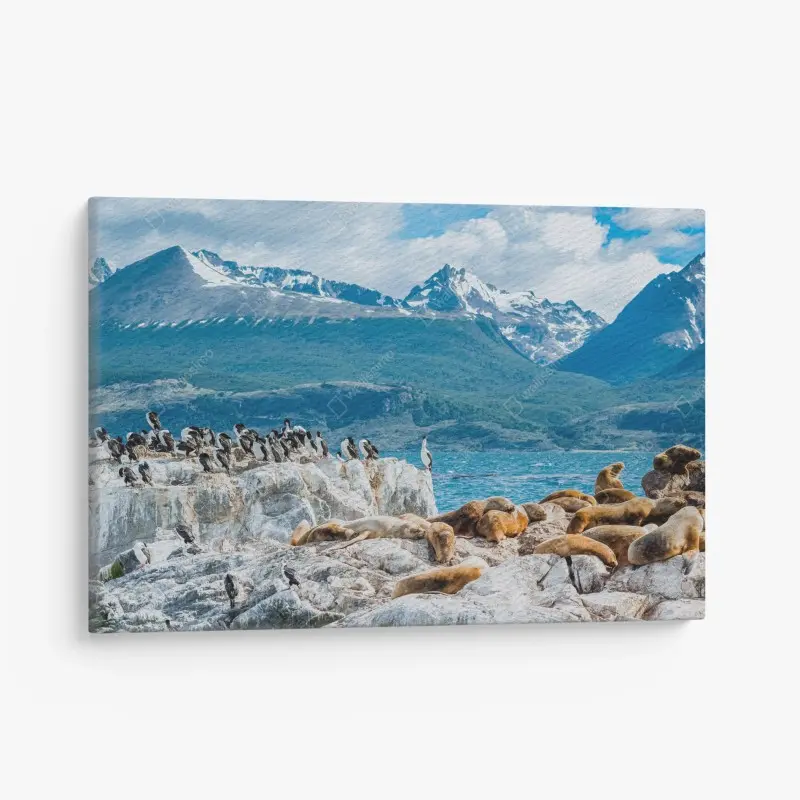Leinwandbild seelöwen und seevögel an der felsküste