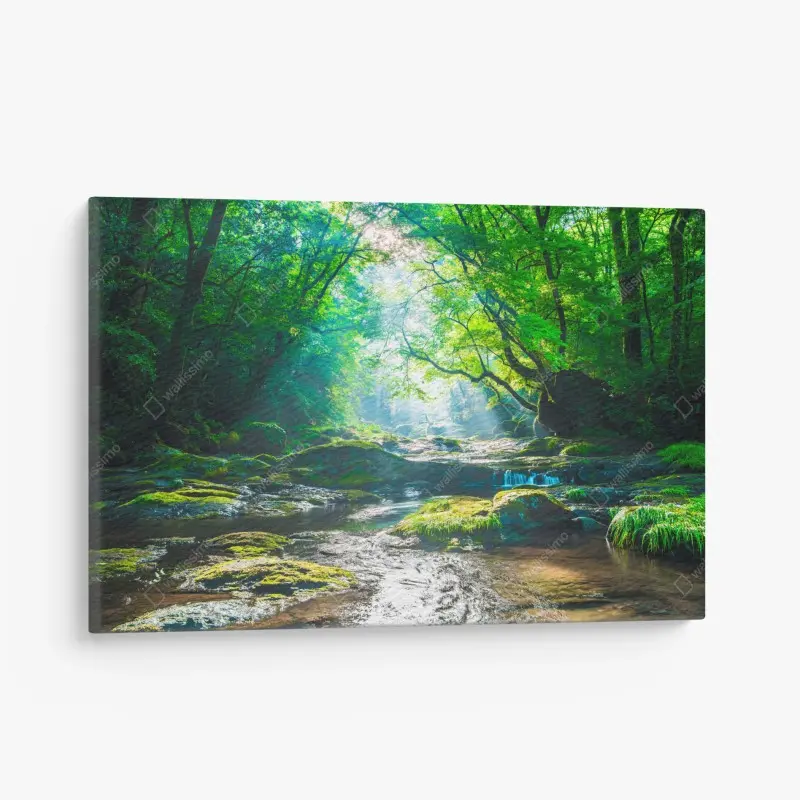 Leinwandbild sonnendurchfluteter waldbach mit moosbedeckten steinen