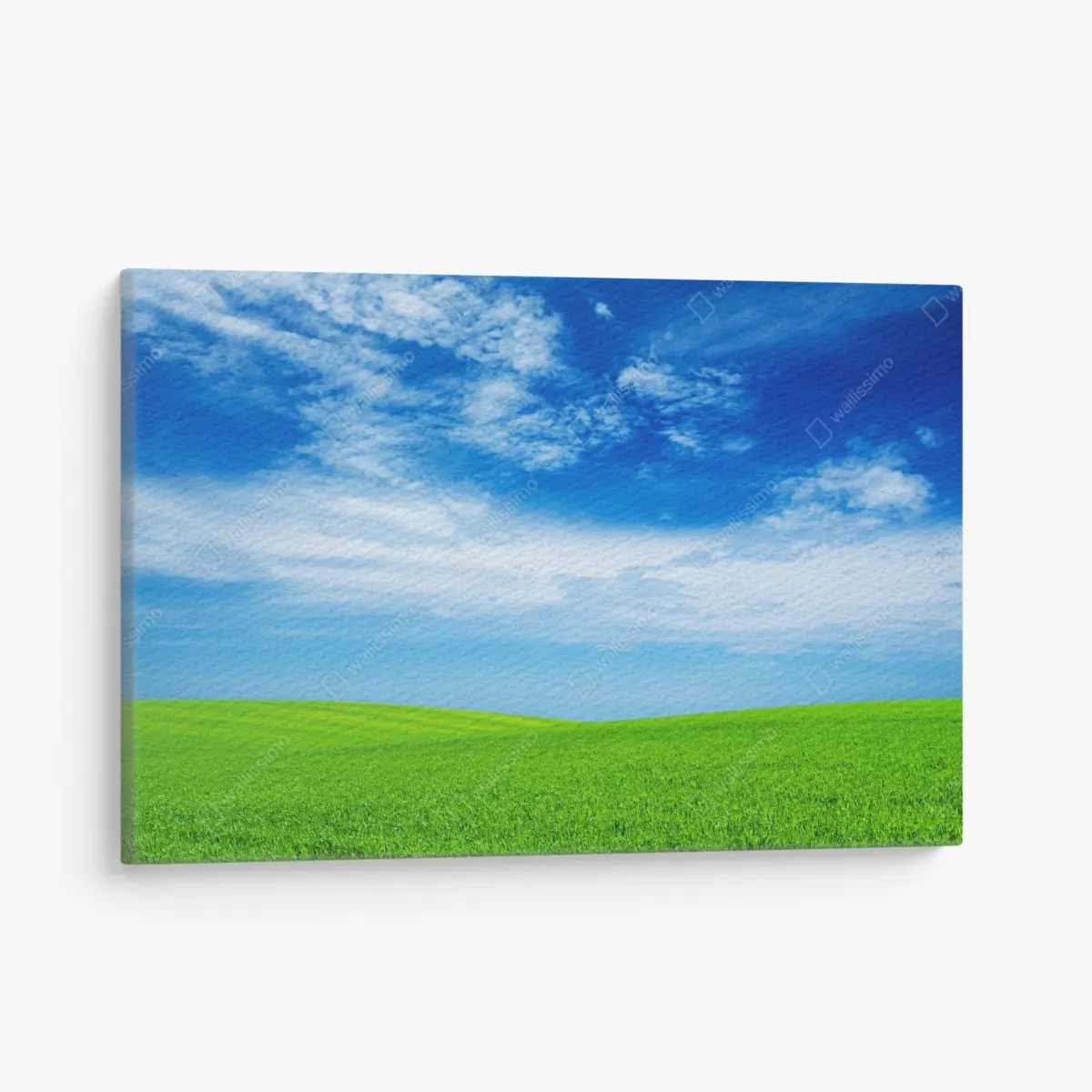Leinwandbild grüne wiese unter blauem himmel – Pixers®