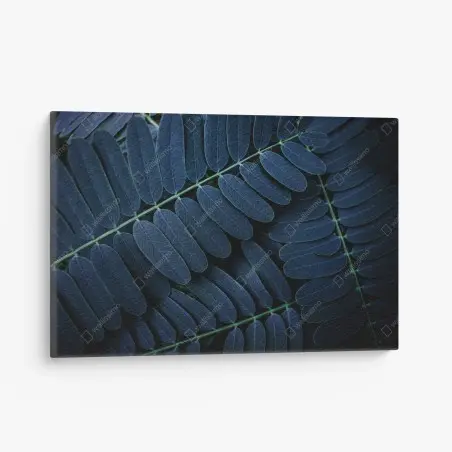 Leinwandbild tiefblaues blattmuster – Pixers®