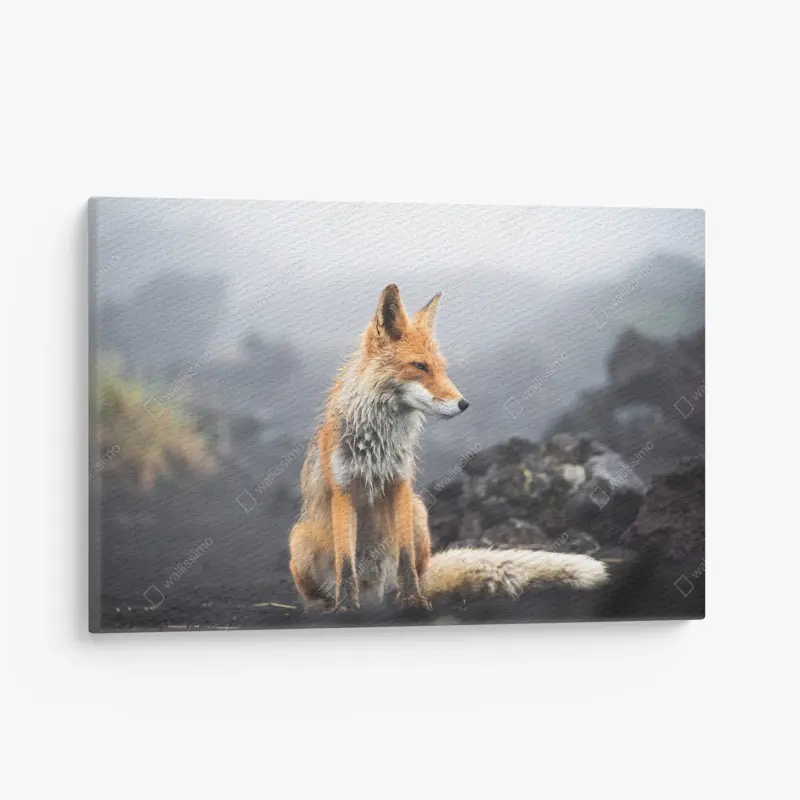 Leinwandbild roter fuchs in nebliger landschaft