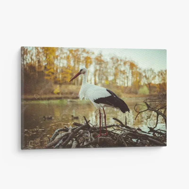 Leinwandbild weißer storch am herbstlichen see