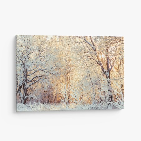 Leinwandbild wintersonne im verschneiten wald – Pixers®