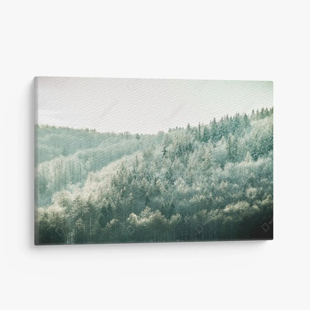 Leinwandbild nebliger reifbedeckter wald – Pixers®