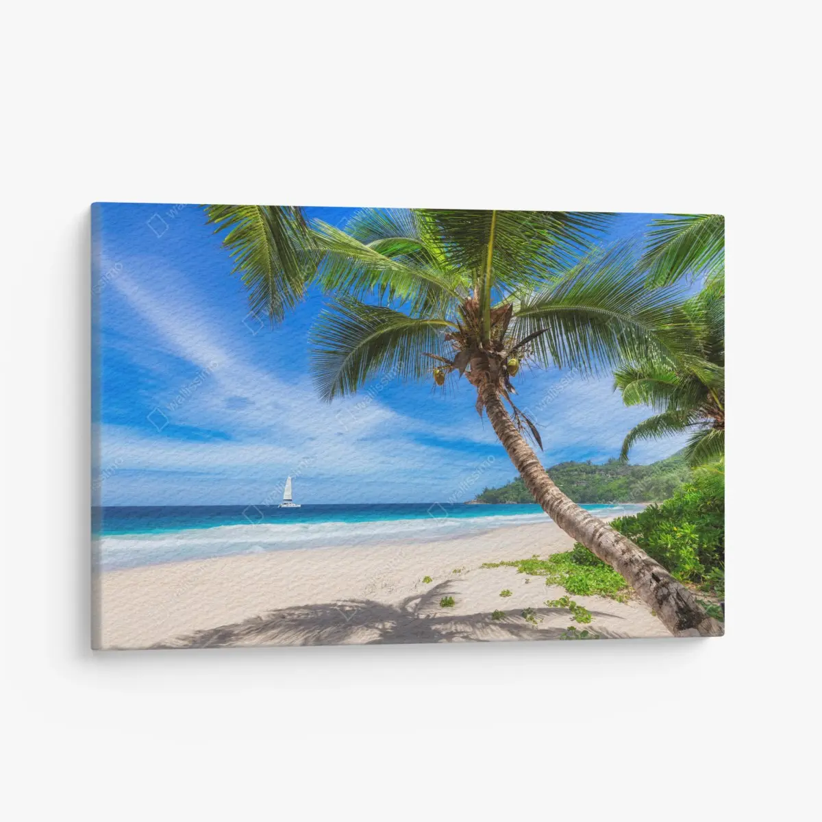 Leinwandbild tropischer strand mit palme – Pixers®