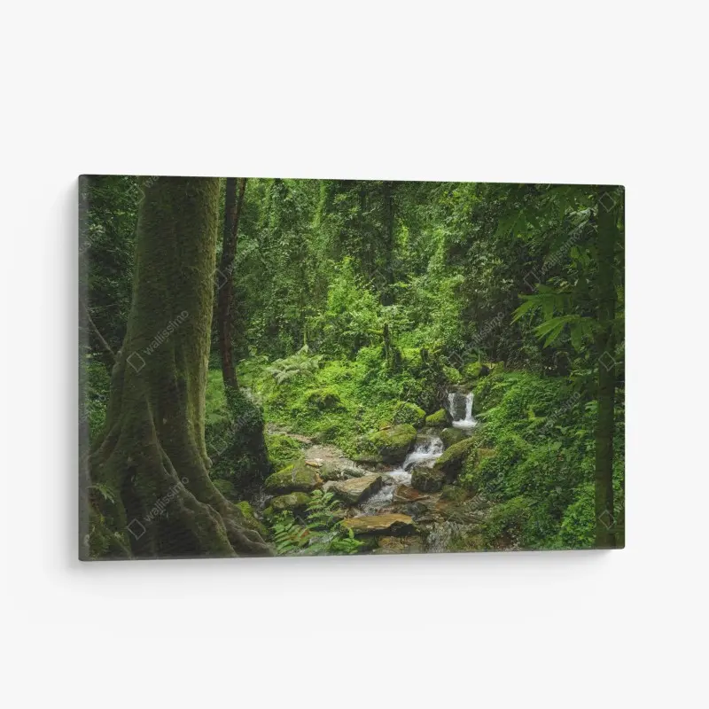 Leinwandbild üppiger grüner waldwasserfall