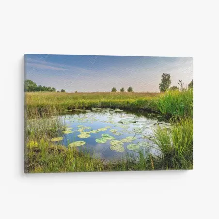 Leinwandbild ruhiger seerosen-teich in der wiese – Pixers®
