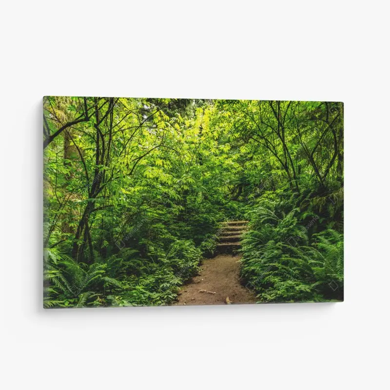 Leinwandbild üppiger waldpfad
