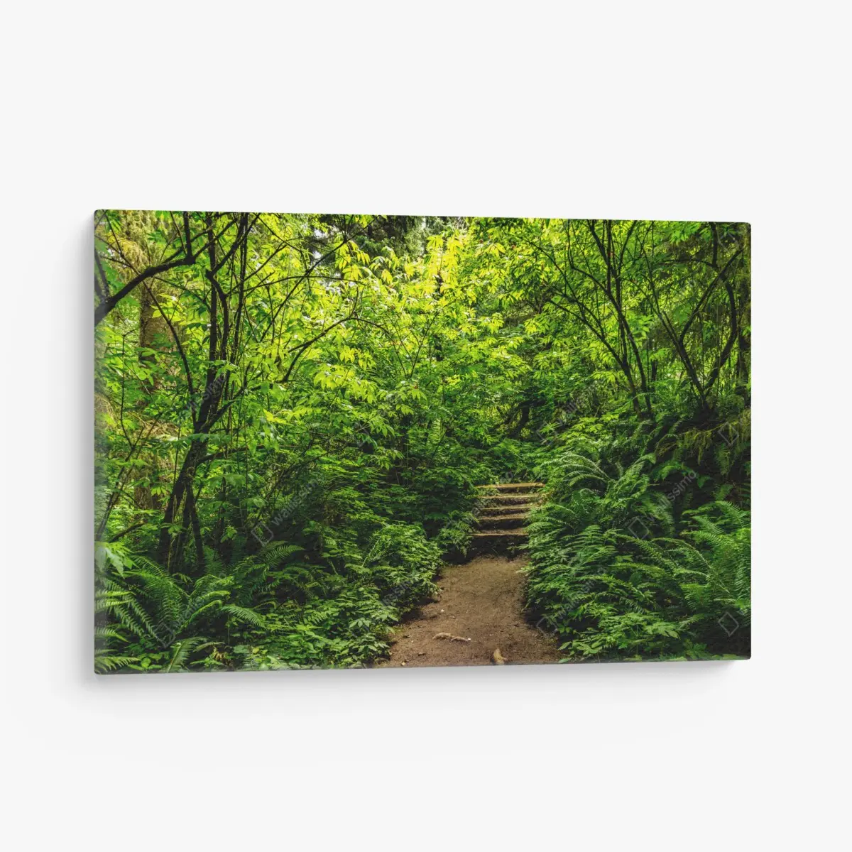 Leinwandbild üppiger waldpfad – Pixers®
