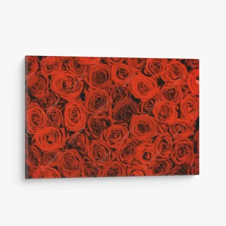 Leinwandbild prächtiger strauß roter rosen – Pixers®
