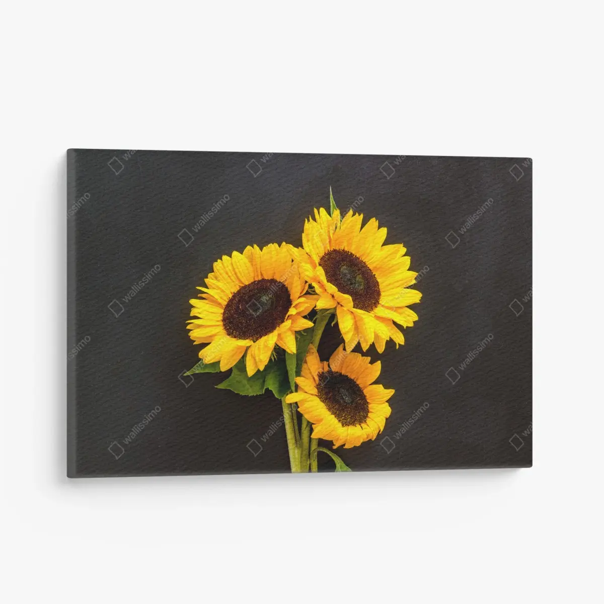 Leinwandbild leuchtende sonnenblumen auf schwarzem hintergrund – Pixers®