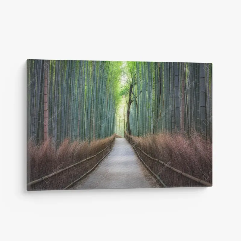 Leinwandbild ruhiger bambuswaldweg