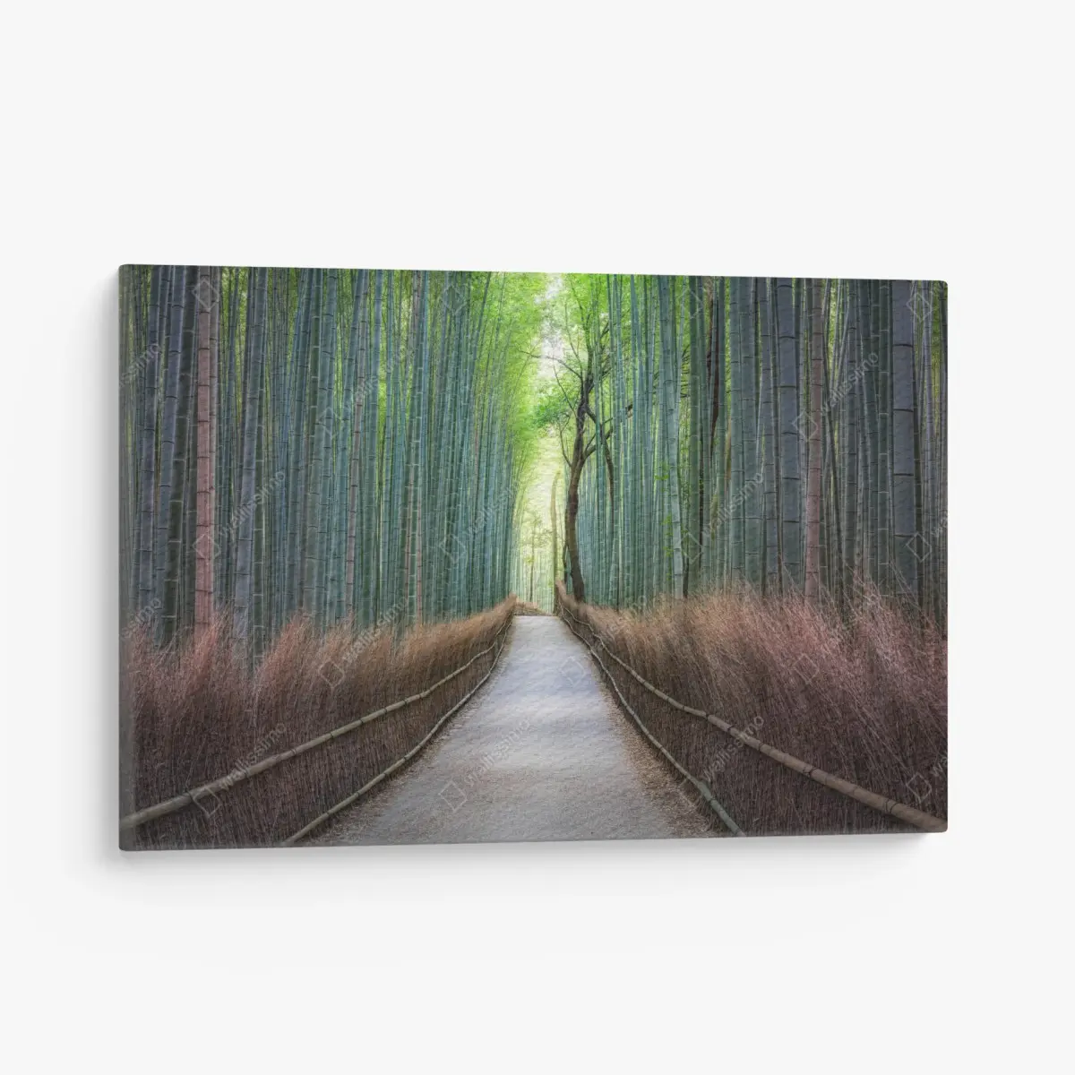 Leinwandbild ruhiger bambuswaldweg – Pixers®