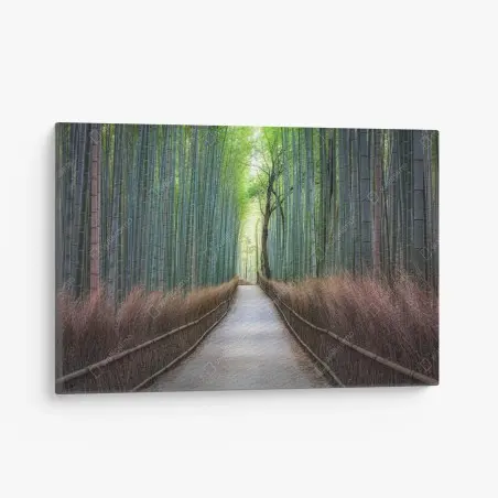 Leinwandbild ruhiger bambuswaldweg – Pixers®