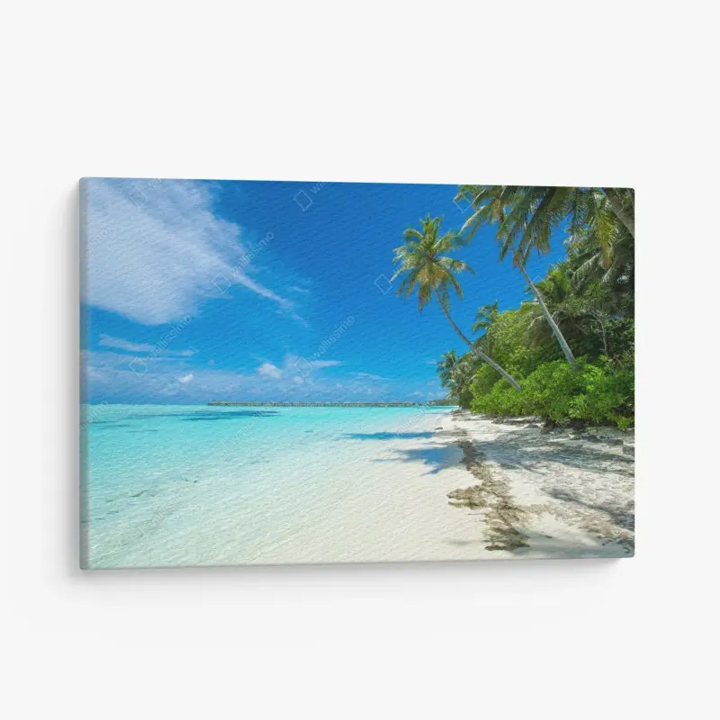 Leinwandbild tropischer strand auf den Malediven