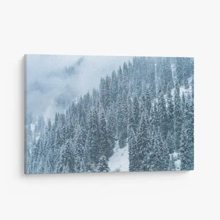 Leinwandbild nebeliger schneebedeckter kiefernwald – Pixers®