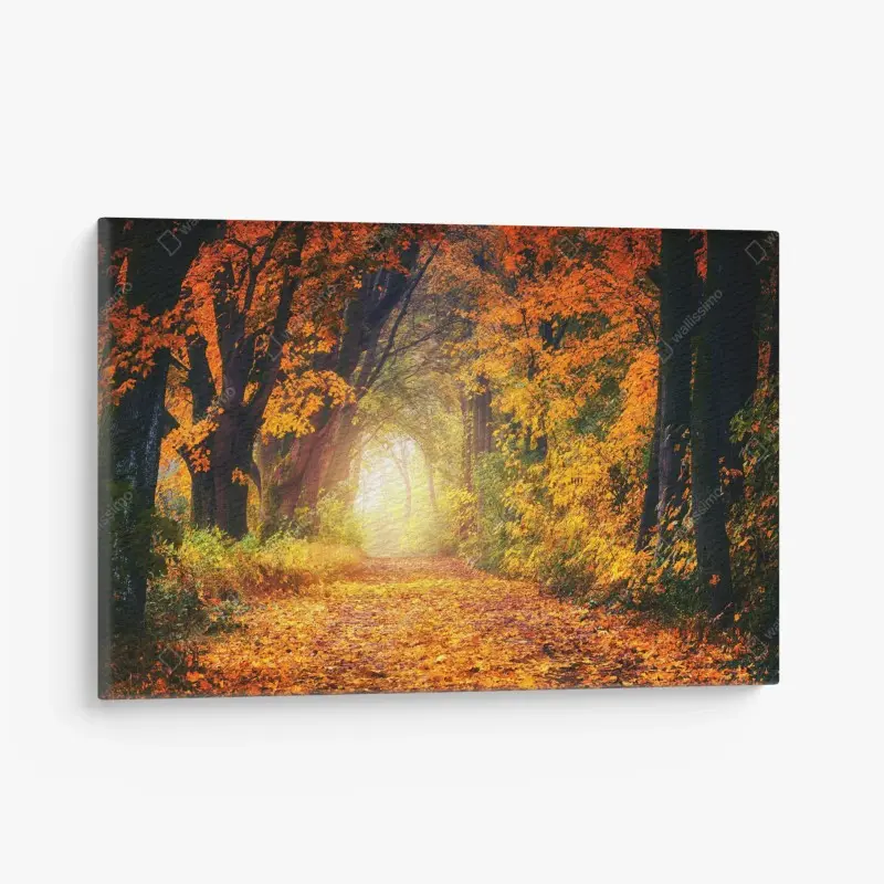Leinwandbild herbstlicher waldpfad im goldenen licht