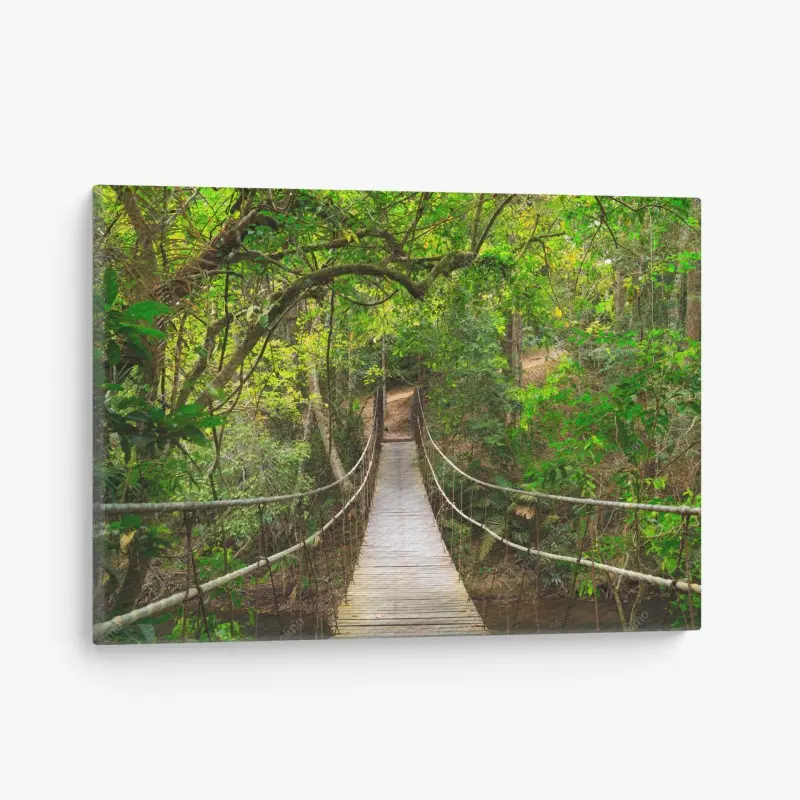 Leinwandbild hängende holzbrücke im grünen wald