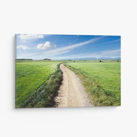 Leinwandbild gewundener landweg durch grüne wiesen – Pixers®