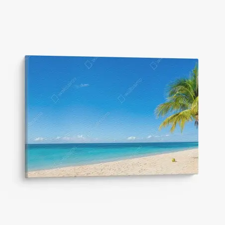Leinwandbild tropischer strand mit türkiswasser und palme – Pixers®