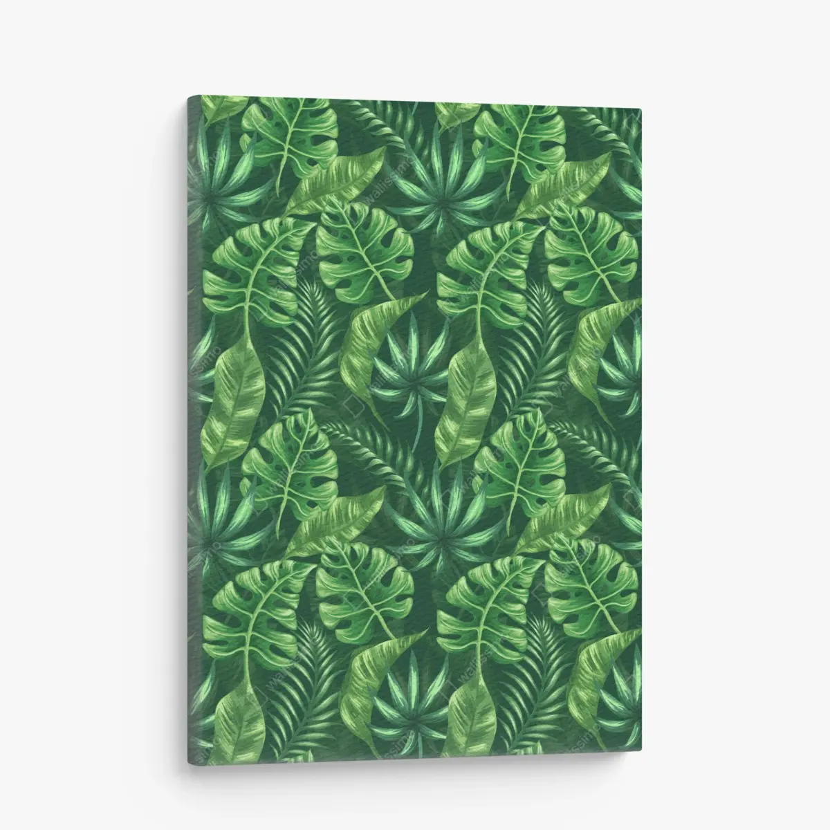Leinwandbild tropisches monstera blattmuster – Pixers®