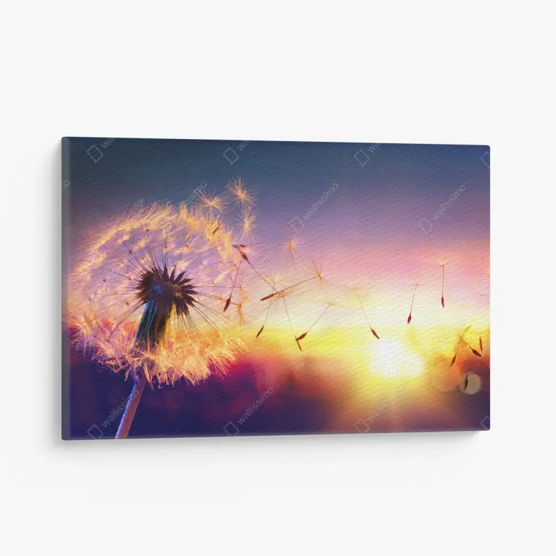 Leinwandbild goldener löwenzahn bei sonnenuntergang