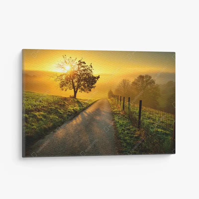 Leinwandbild sonnenbeschienener landweg durch die morgenwiese