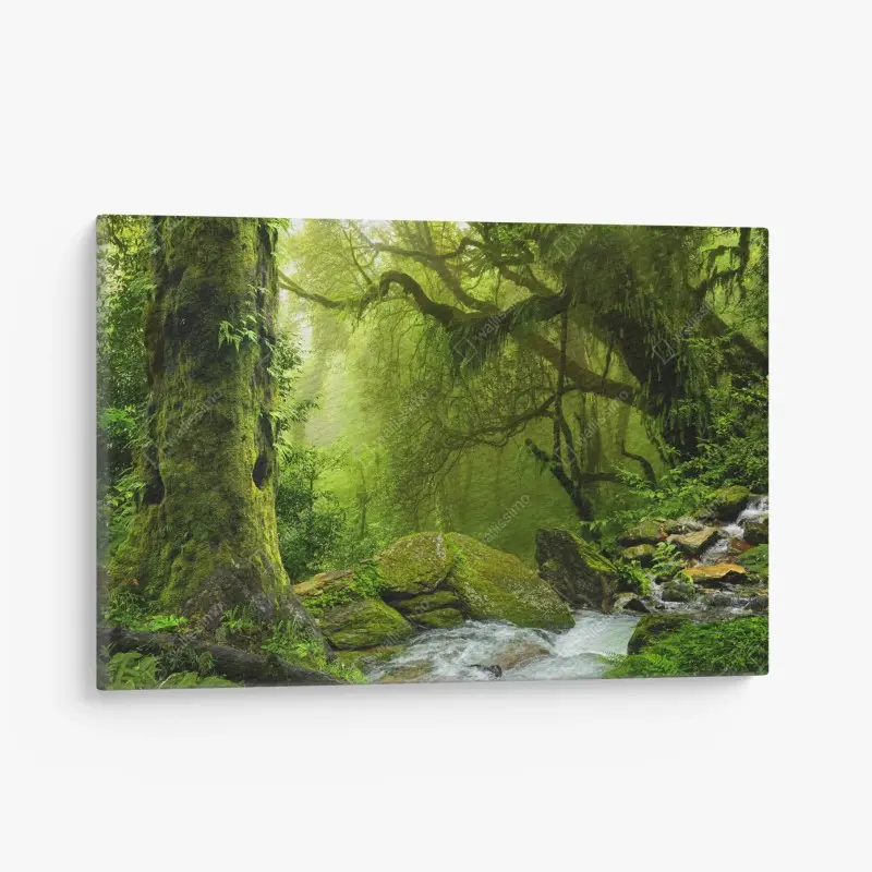 Leinwandbild verzauberter grüner waldbach
