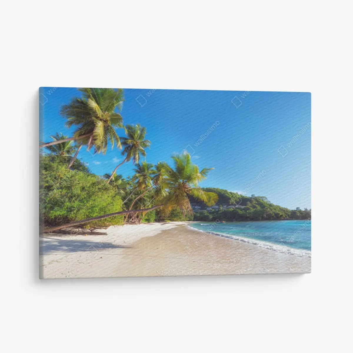 Leinwandbild tropischer palmstrand – Pixers®