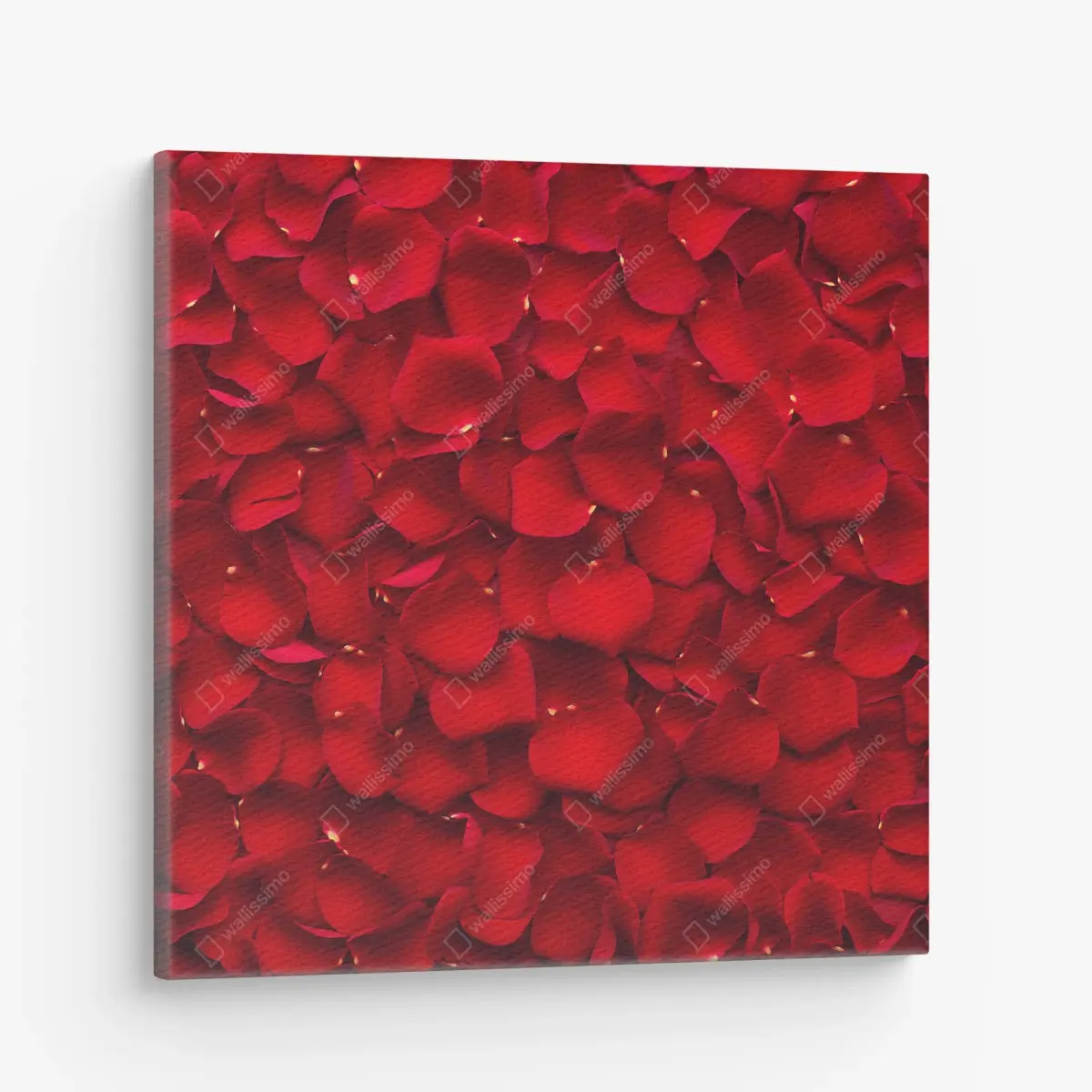 Leinwandbild rote rosenblätter hintergrund – Pixers®