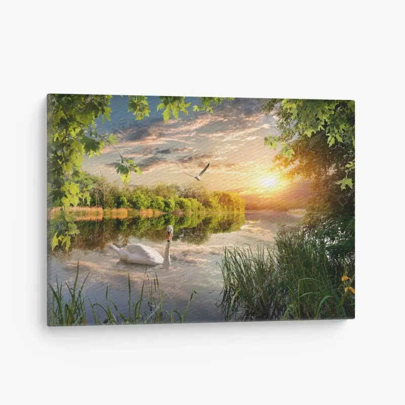 Leinwandbild sonnenuntergang mit schwan auf stillem see