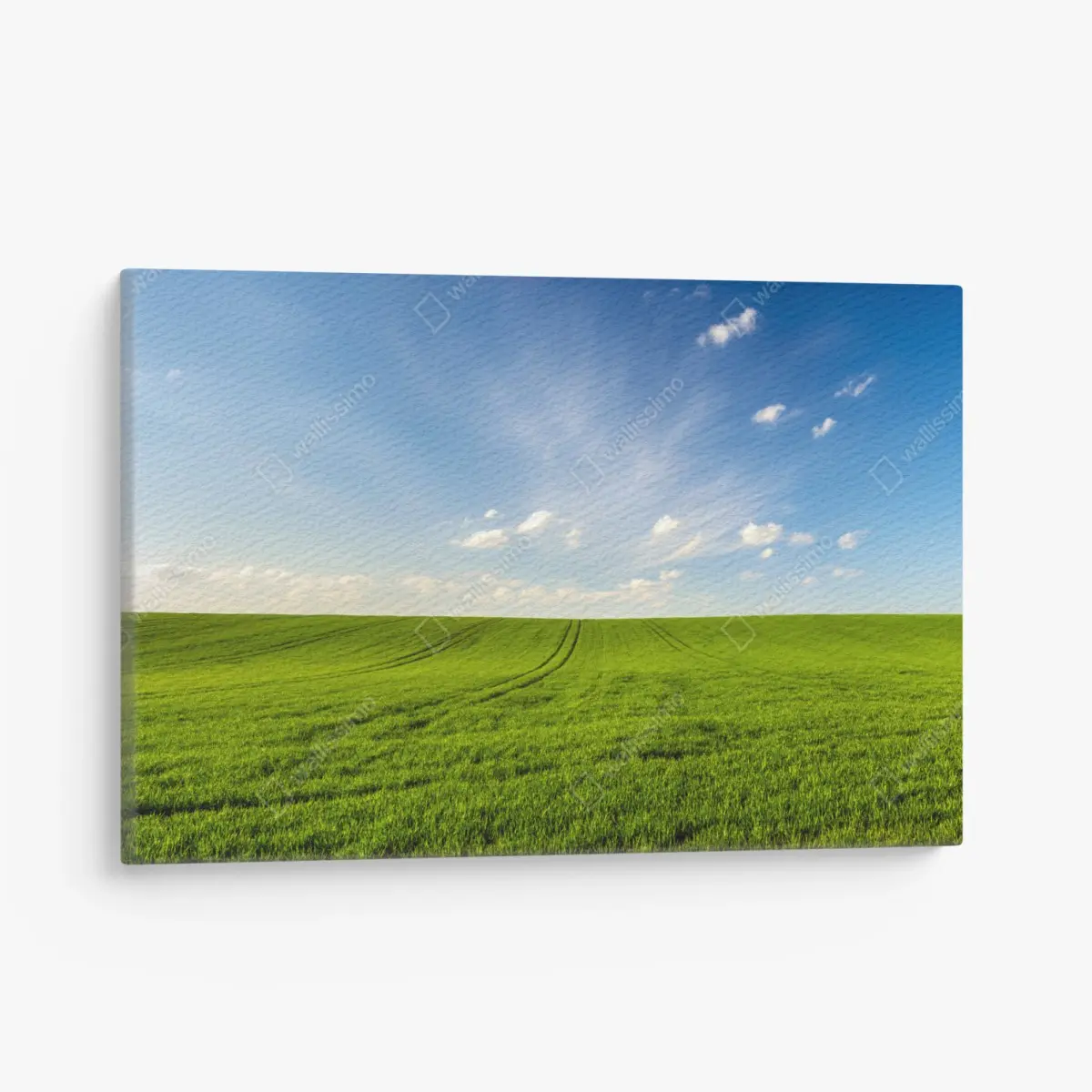 Leinwandbild frühlingsgrüne wiesenpanorama – Pixers®