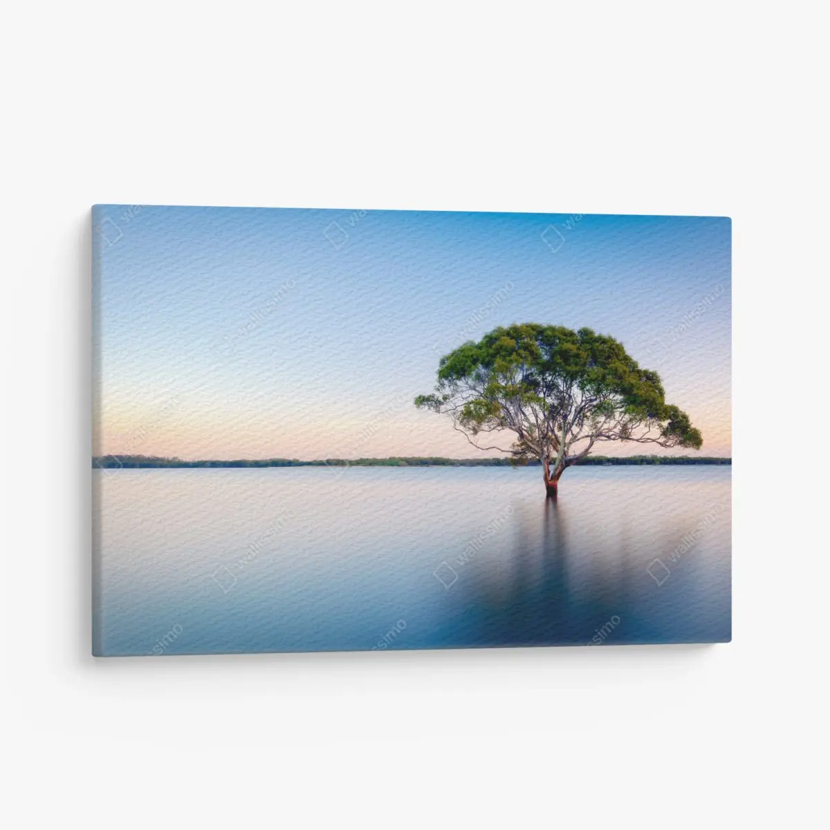 Leinwandbild einsamer baum am stillen see – Pixers®