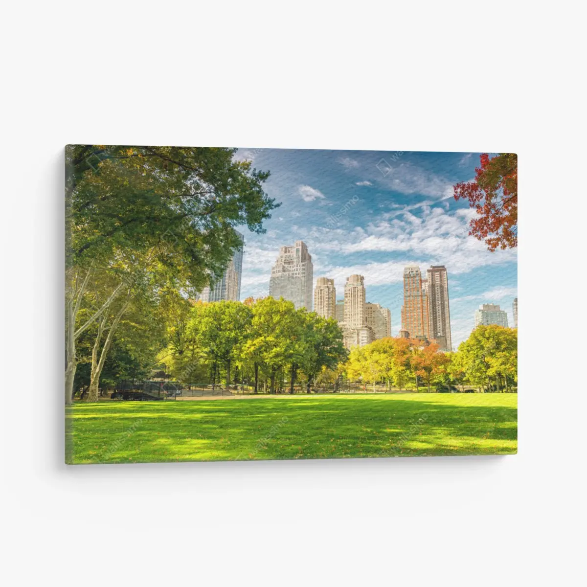 Leinwandbild Central Park herbst panorama – Pixers®