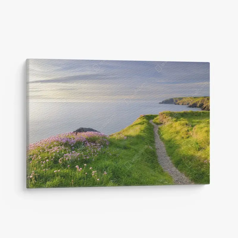 Leinwandbild Ceibwr Bay küstenpfad bei dämmerung