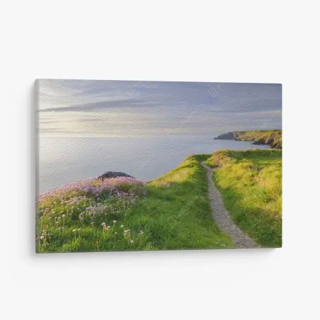 Leinwandbild Ceibwr Bay küstenpfad bei dämmerung – Pixers®
