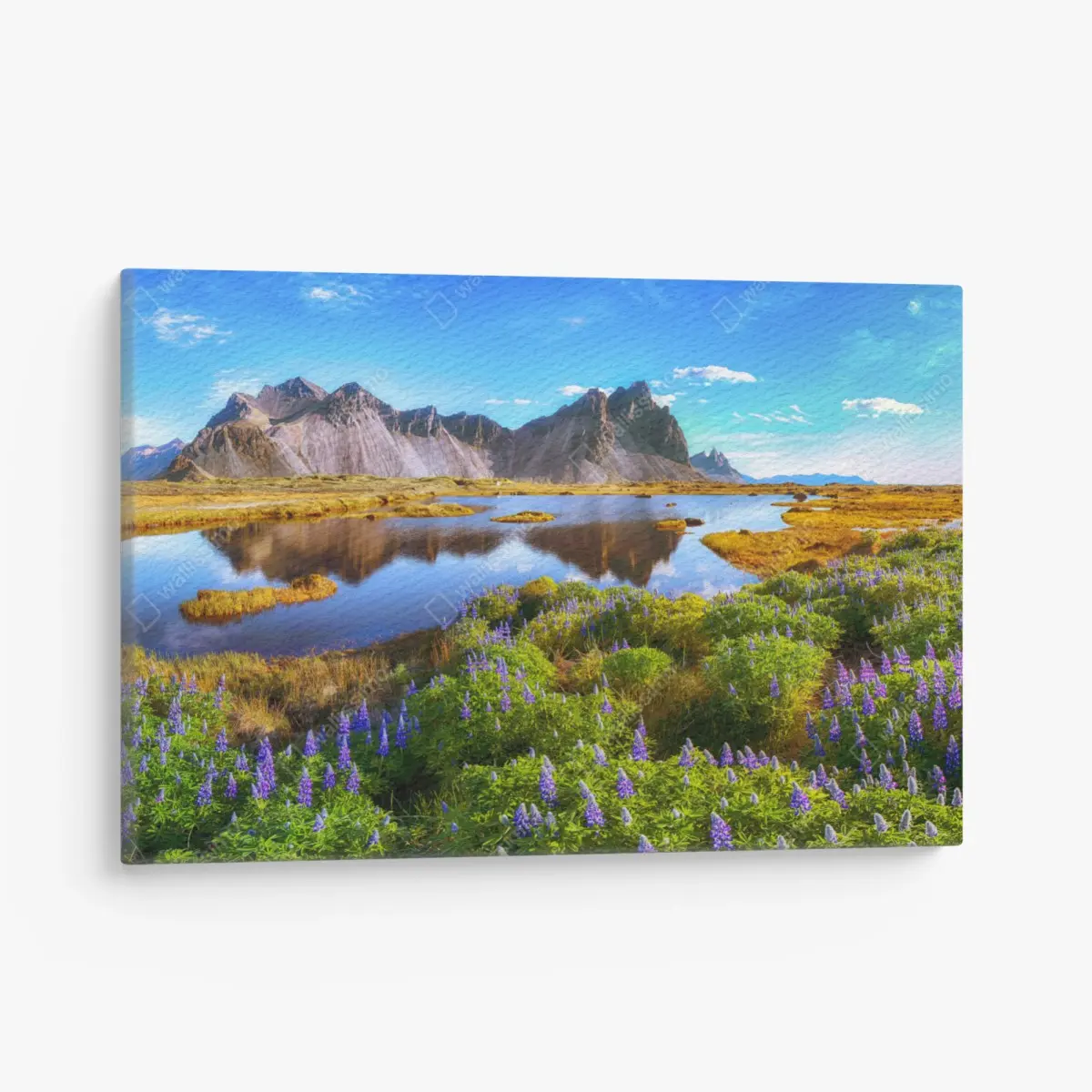 Leinwandbild lebendige lupinenwiesen bei Vestrahorn, Island – Pixers®