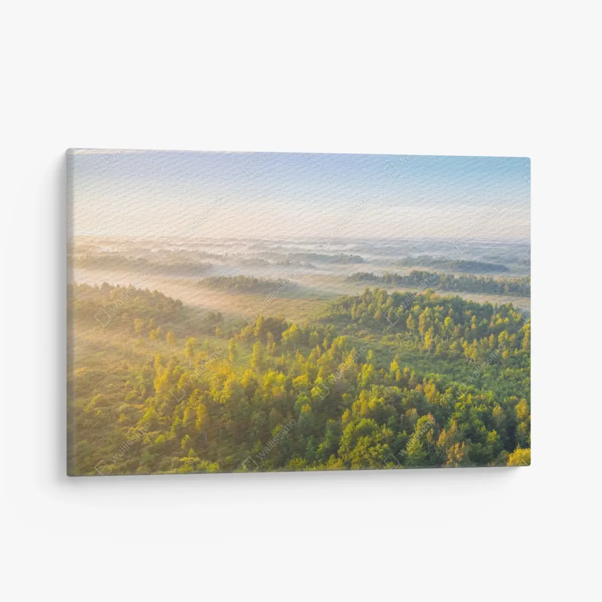 Leinwandbild nebliger morgen im sumpf von Zvanets – Pixers®