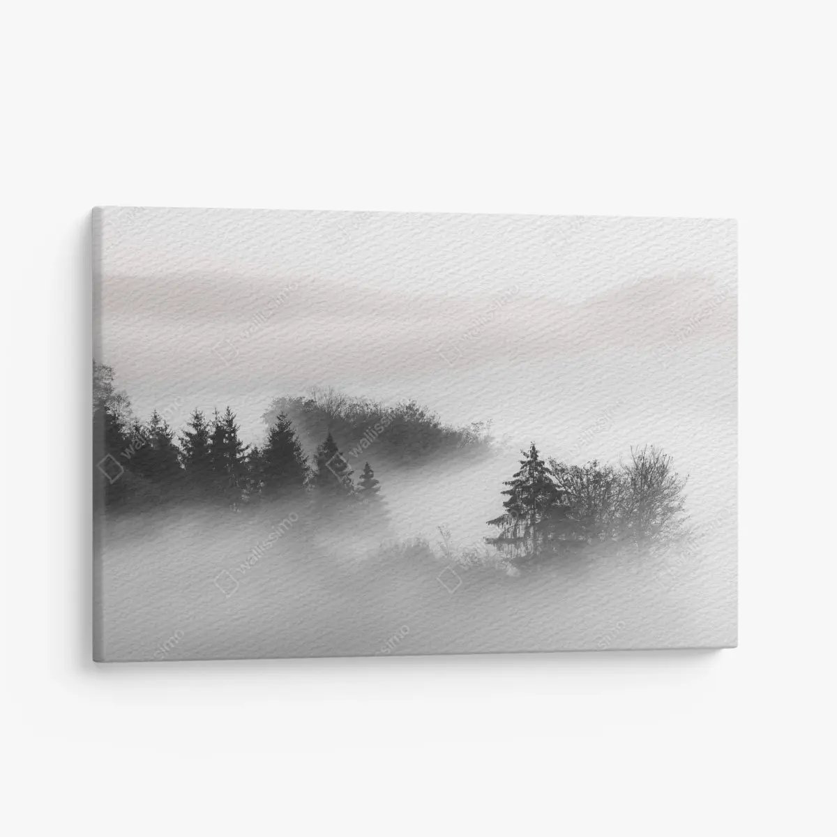 Leinwandbild nebliger wald in grautönen – Pixers®