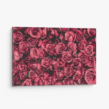 Leinwandbild pralle rote rosen wandbild – Pixers®