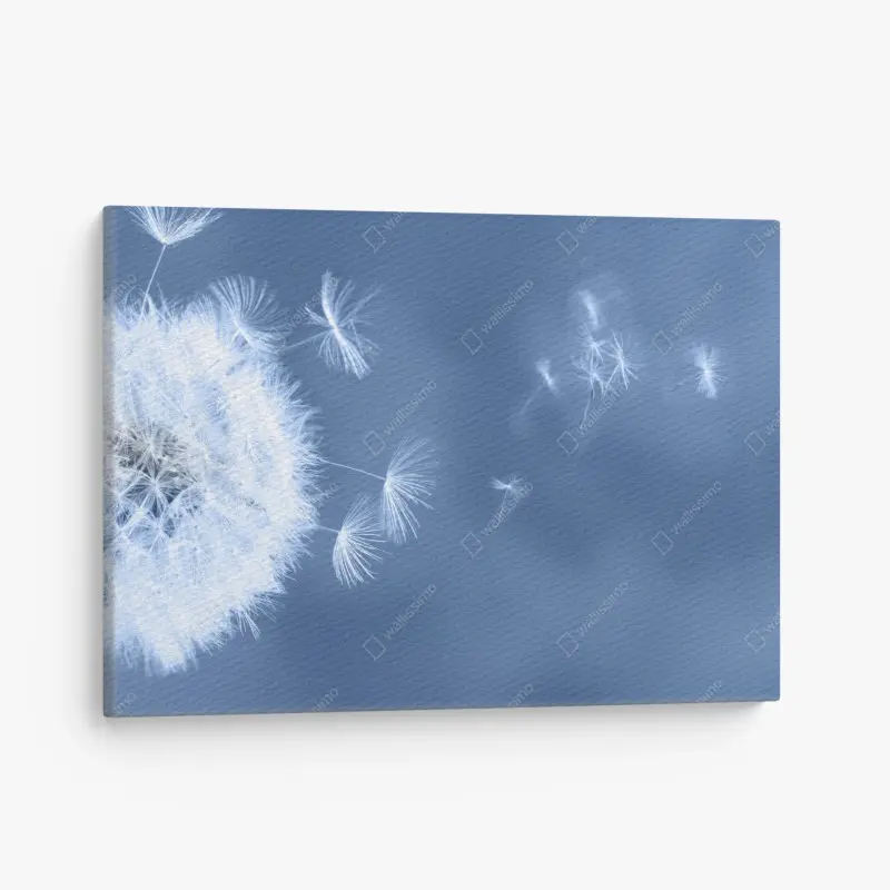 Leinwandbild zarte löwenzahnsamen in blau