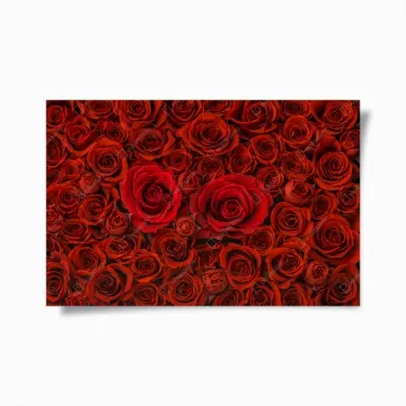 Poster prunkvolle collage roter rosen – Pixers®