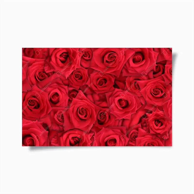 Poster leuchtende rote rosen collage