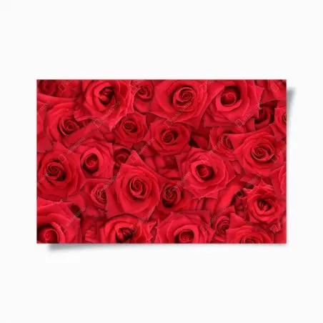 Poster leuchtende rote rosen collage – Pixers®