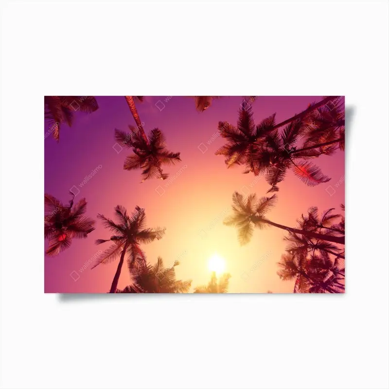 Poster tropischer sonnenuntergang mit palmen-silhouetten