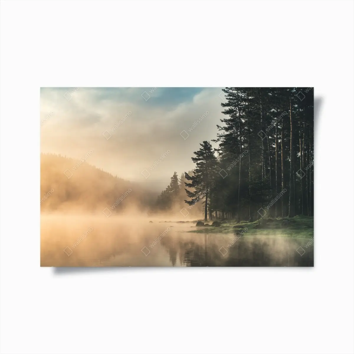 Poster nebliger sonnenaufgang über waldsee – Pixers®