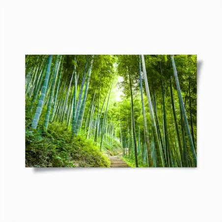 Poster ruhiger bambuswaldweg – Pixers®