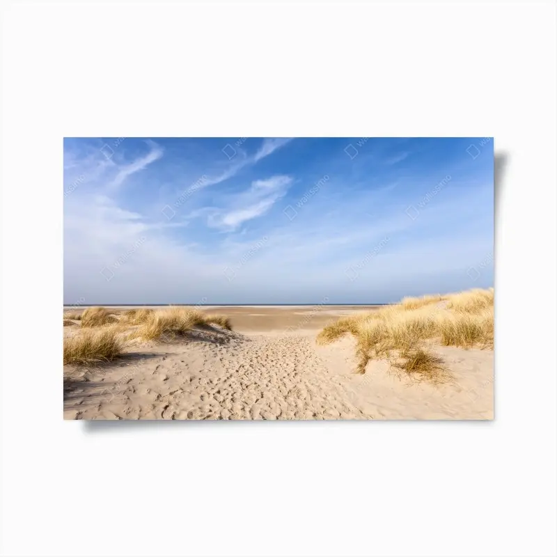 Poster ruhige dünen an der deutschen küste