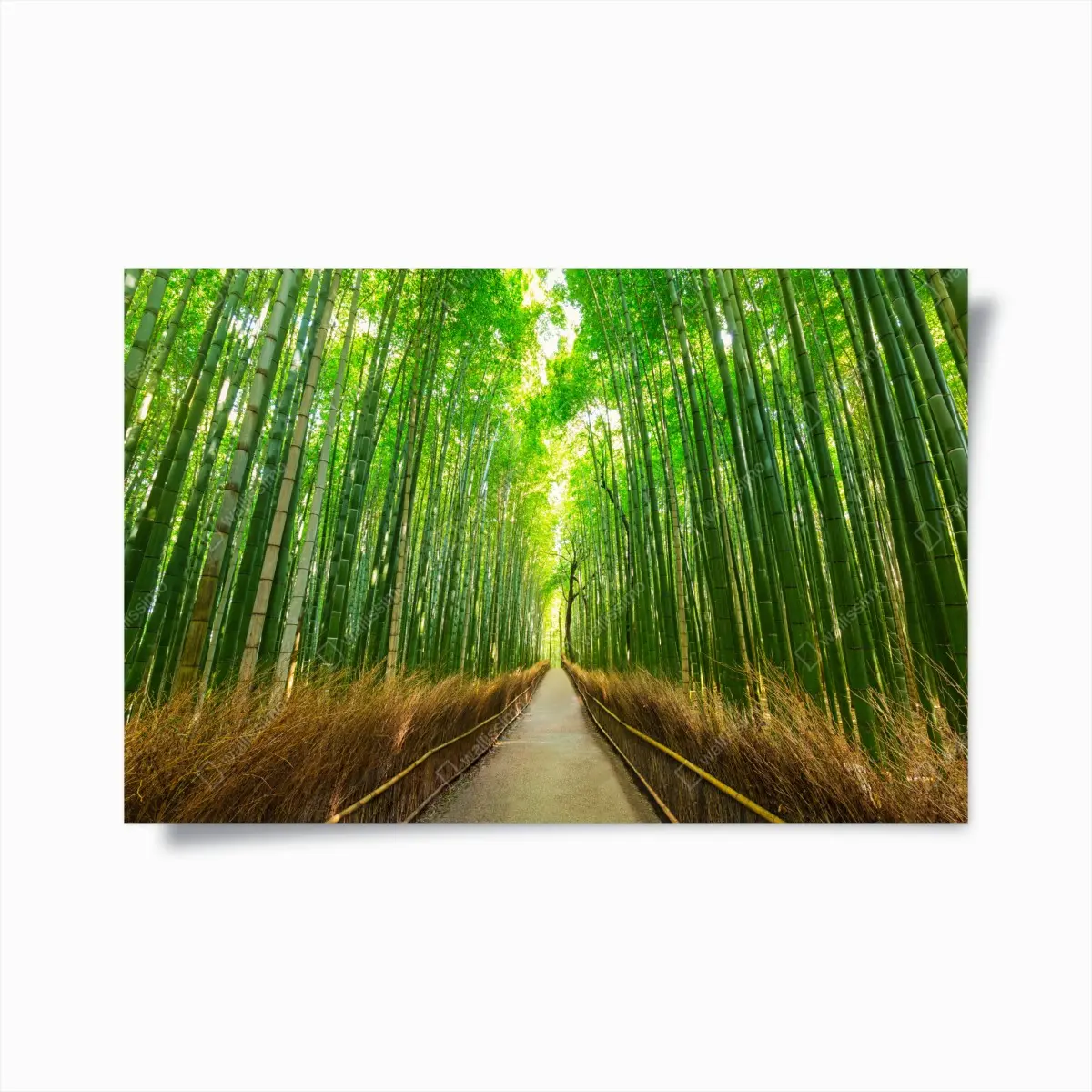 Poster ruhiger bambusweg in Kyoto – Pixers®